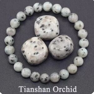 Tianshan Orchid Stone Bracelet